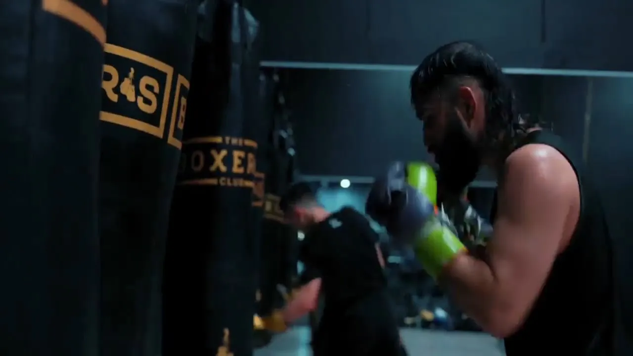 Branded heavy bags in the gym